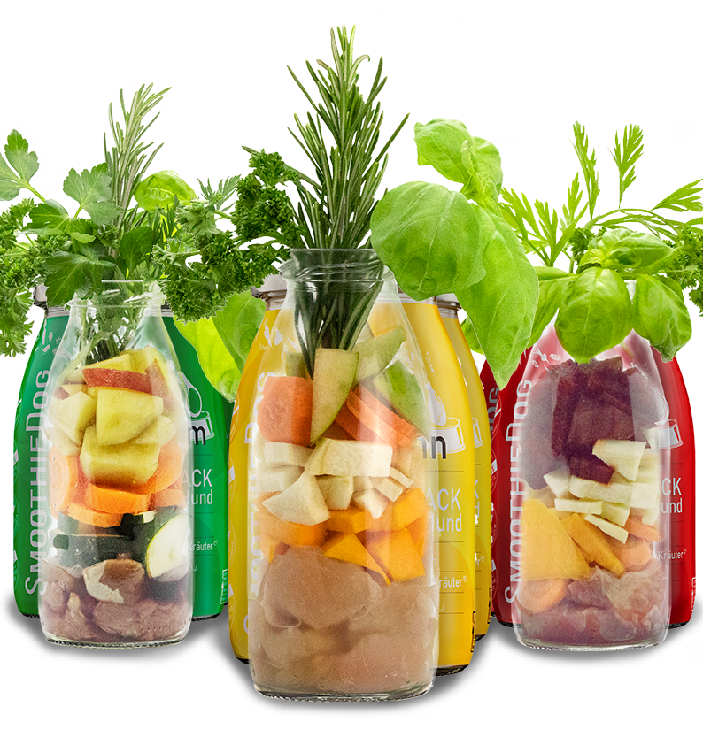 Smoothie 3er-Bundle - Classic