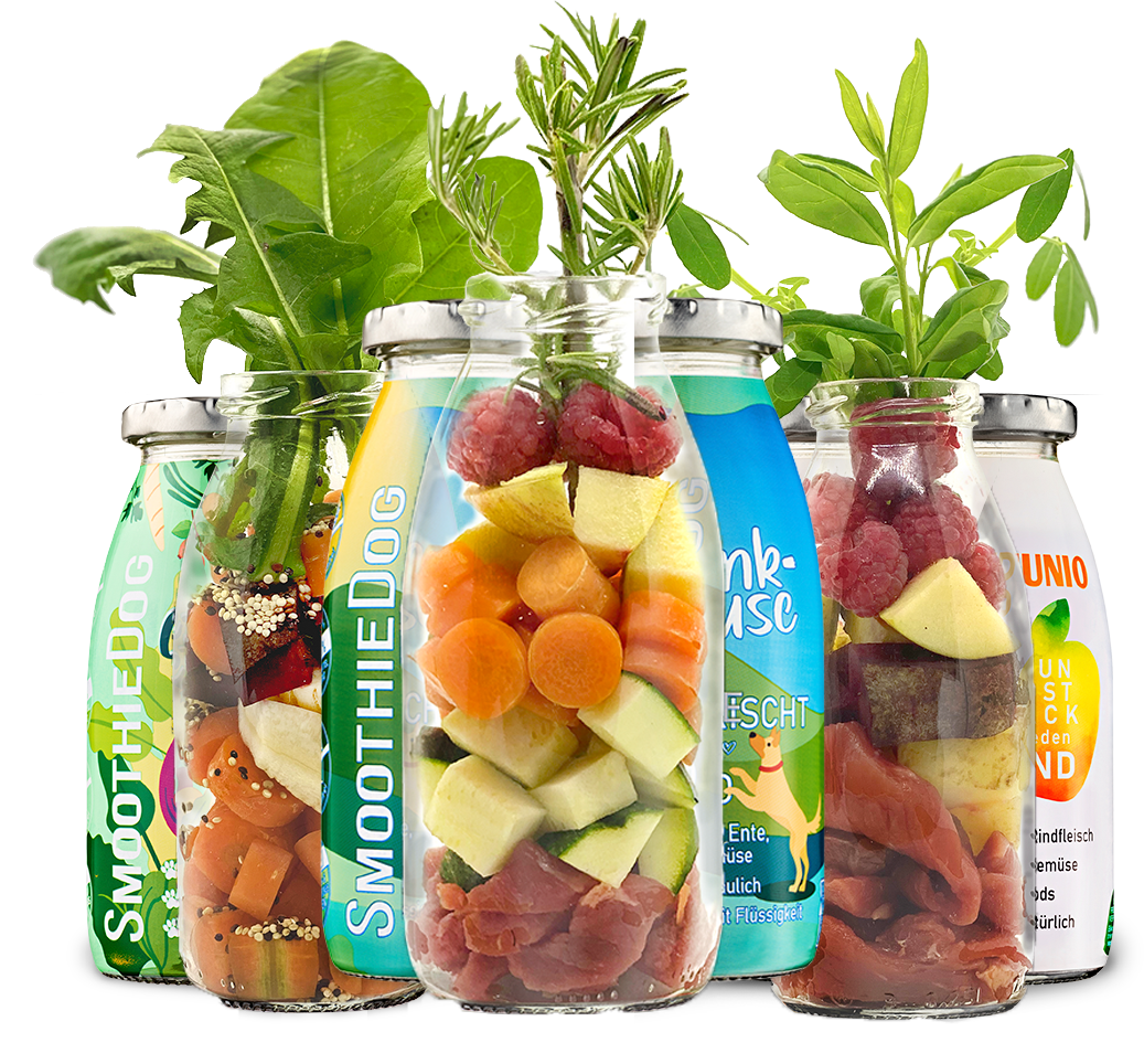 Smoothie 3er-Bundle - Special