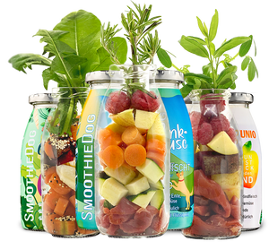 Smoothie 3er-Bundle - Special